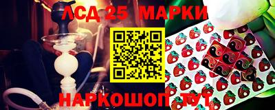 мяу мяу мука Будённовск