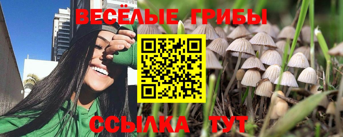 Галлюциногенные грибы мицелий Рубцовск
