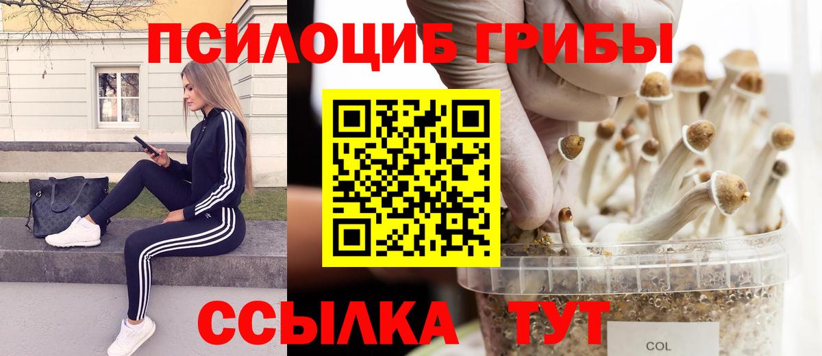 Галлюциногенные грибы мицелий  Вход с VPN  Рубцовск  Галлюциногенные грибы GOLDEN TEACHER 